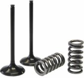 kits conversion soupapes titane-acier echappement + ressorts