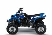 Kit Deco Blackbird Dream Graphic 2 Yamaha BLASTER 1988-2007 kit deco quad